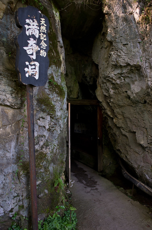 岡山県が誇る天然記念物 満奇洞の魅力 夏の避暑地としてもの画像